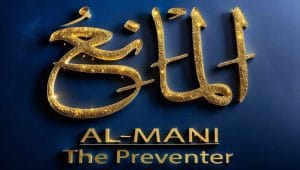 Al Mani Digital Downloads