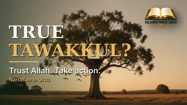 Video thumbnail: a lone tree and birds in flight at sunrise, with the words "True Tawakkul? Trust Allah. Take action." and "Narration in Urdu".